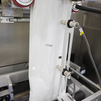 Machine d'emballage automatique de haute qualité pour le remplissage de liquides, détergents et eau en grandes conteneurs en plastique