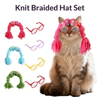 Ensemble Chapeau Perruque Lunettes en Laine Baboney pour Animaux – Accessoires Amusants Couleurs Dopamine Prêts pour la Fête – Toutes Saisons