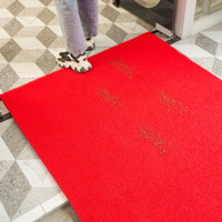 Waschbarer PVC-Schlaufen-Teppich, Spaghetti-Türmatte, Rutschfester Wasserdichter Auto-Bodenbelag
