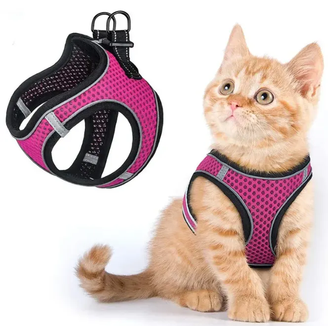 Conjunto de arnês para cães e gatos de luxo de fábrica, coleira reflexiva para animais de estimação, conjunto de arnês para animais de estimação, venda imperdível