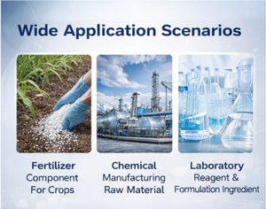 Dinitrato <span class=keywords><strong>de</strong></span> <span class=keywords><strong>Magnesio</strong></span> Mg No3 2 6H2O Fertilizante Soluble en Agua para Pulverización Foliar, Nutrición <span class=keywords><strong>de</strong></span> Plantas Agrícolas, Suministro a Granel - Product Image 5