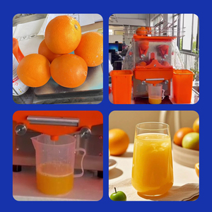 Exprimidor Comercial de Naranjas Frescas, Equipo para Hoteles y Restaurantes, Extractor en Stock, Ahorro de Mano de Obra, OWN-ZXG-1105, Exprimido Eficiente - Product Image 4
