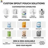 Pochette de recharge cosmétique transparente personnalisée OEM avec fenêtre, 200 ml, 500 ml, pour lotion blanchissante avec bec verseur