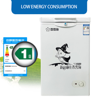 Congélateur au propane à 30 degrés, haute qualité, prix d'usine, vente en gros, porte unique, coffre en option, mini congélateur 138l, BD-138