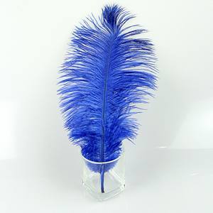 Pabrik Terkemuka Produk Kerajinan Bulu Berkualitas Terbaik Bulu Burung Unta 55-60 cm Bulu Burung Unta Berwarna untuk Dekorasi - Product Image 6