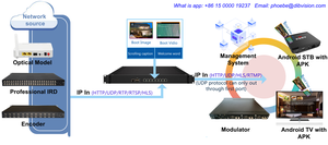 Serveur de streaming IP FTA pour la transcodage UDP vers RTMP, solution pour projets <span class=keywords><strong>IPTV</strong></span> hôteliers - Product Image 2