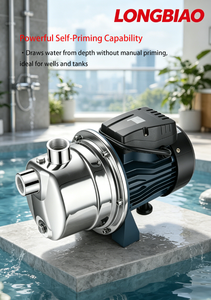 <span class=keywords><strong>Pompe</strong></span> à jet auto-amorçante série JET 220V en acier inoxydable, surpresseur d'eau domestique automatique <1KW pour l'alimentation en eau résidentielle - Product Image 4