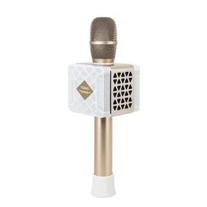 Tosing 016 món quà cổ điển dành cho người lớn Máy Karaoke Treble/Bass/Echo tăng cường hướng dẫn du lịch Microphone 20W Loa di động/TV hát