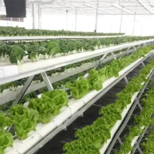 Nông Nghiệp Thủy Canh Phụ Kiện Sử Dụng Rộng Rãi Cống Hydroponics PVC Vuông Ống