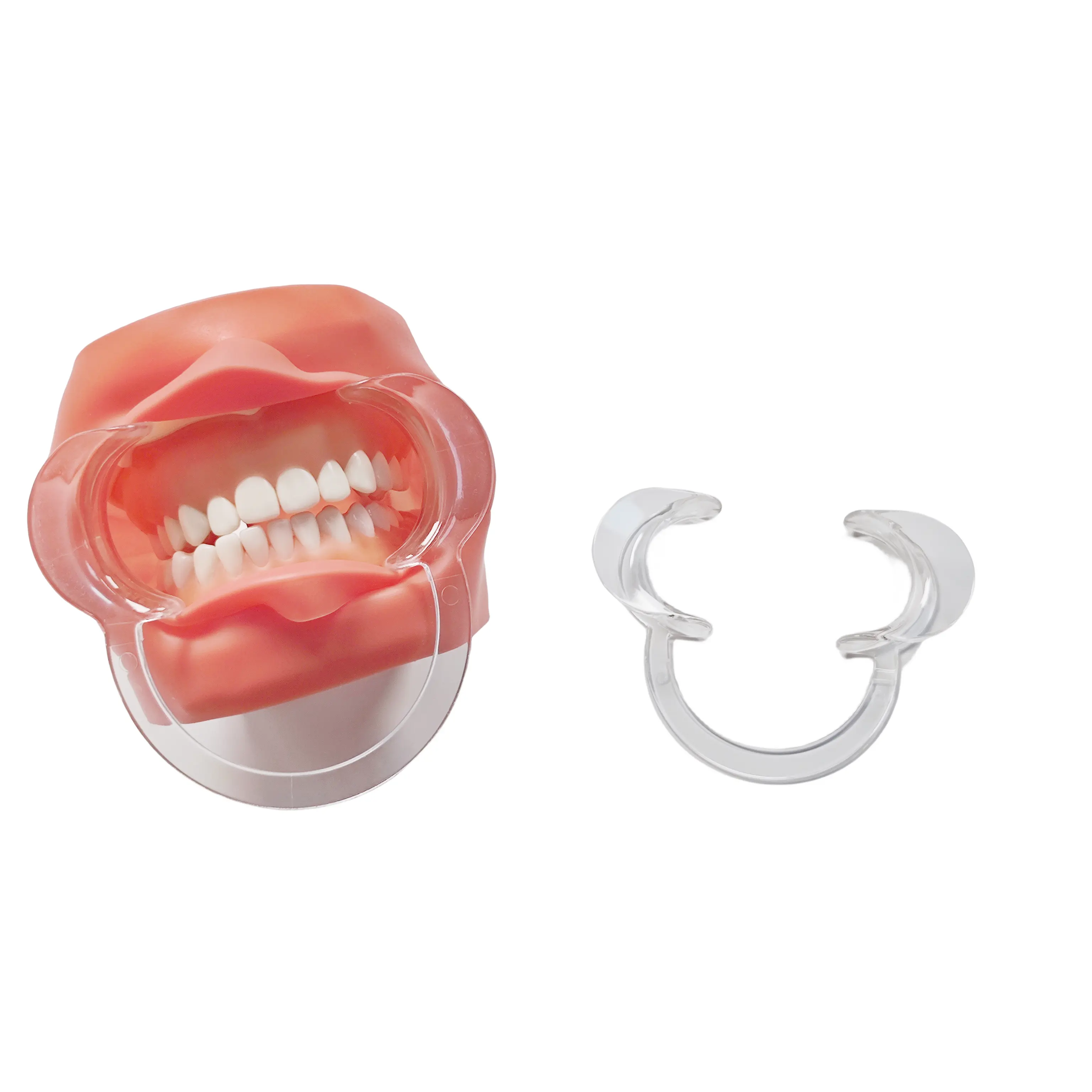 Abridor de boca dental autoclavável, abridor de boca em forma de C, clareador dental para bochechas, retrator de bochecha, tamanho M