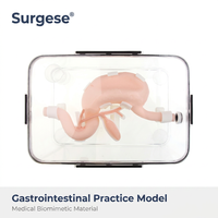 Modèle de pratique d'endoscopie gastro-intestinale, simulateur biomimétique d'estomac et de duodénum pour la formation aux compétences en gastroscopie et ERCP, OEM