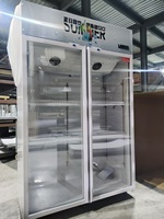 Vitrine commerciale à double porte de refroidisseur de supermarché à température unique avec porte en verre pour l'utilisation de bar et de magasin