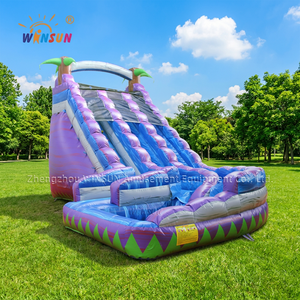 สไลเดอร์น้ำเป่าลม Winsun แบบสองช่องสำหรับเด็ก สนามเด็กเล่นกลางแจ้ง วัสดุ PVC ได้รับการรับรองมาตรฐาน CE กันไฟ กันน้ำ - Product Image 1