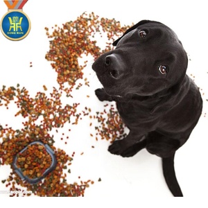 Dây Chuyền Sản Xuất Đầy Đủ Máy Chế Biến Thức Ăn Cho Chó Khô - Product Image 6