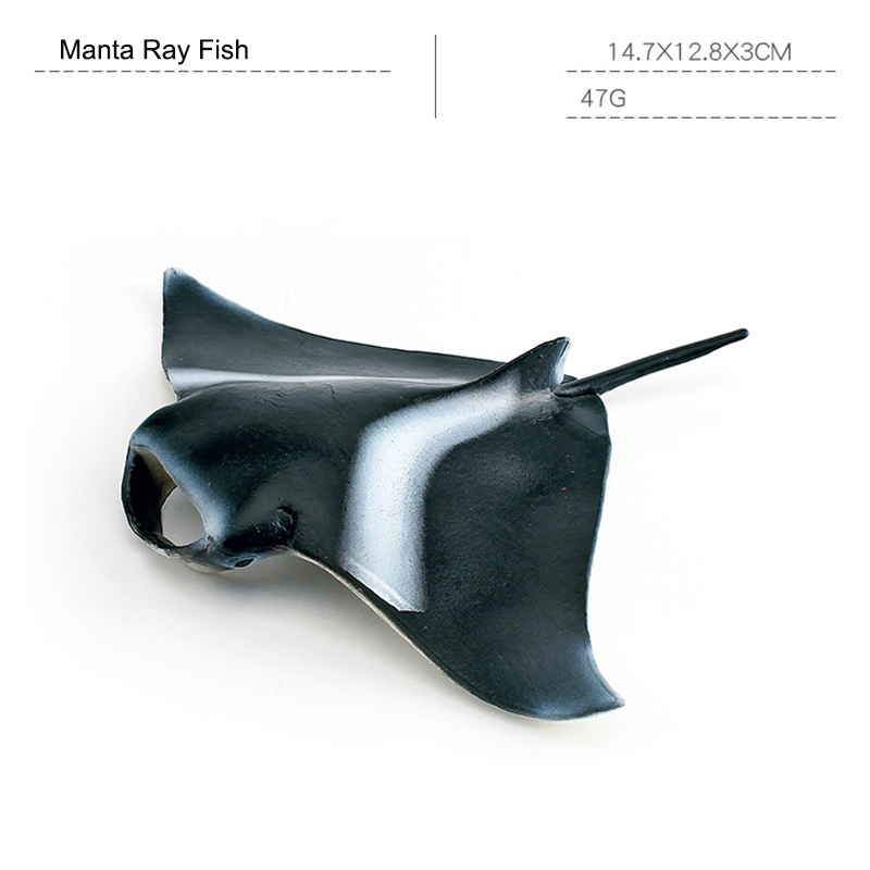 Manta Ray Fish