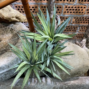 Plantas Artificiales de Agave y Aloe Vera en Maceta, Árboles Decorativos Tropicales del Desierto, Adornos Verdes, Plantas Decorativas Artificiales - Product Image 2