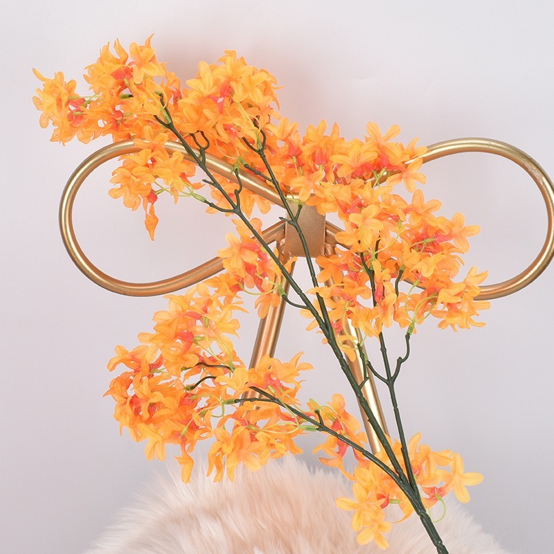 Naranja