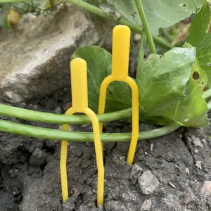 Clipes de tomate do jardim, vegetais amarelos de fábrica, armadilhas de plástico, suporte de planta, clipe de agricultura