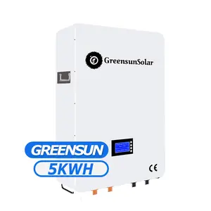 51.2V 100AH Powerwall Lifepo4 बैटरी 200AH बैटरी लिथियम कोई रखरखाव मूक