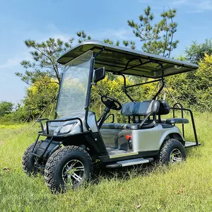 Nieuwe Golfkar Gas Aangedreven Benzine Opgeheven Golfkar 2 4 6 8 Zitplaatsen 4X4 Benzine Off Road Club Auto Te Koop