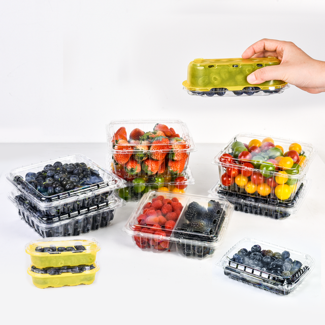 Clamshell Fruit Packaging Eco-friendly Plastic Packaging for Berries