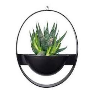 Support suspendu rond en métal de fer, support mural enduit de poudre noire, jardinière de maison, hôtel, décoration de salon, jardinière murale Design de luxe - Product Image 1