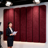 Panneau mural acoustique insonorisant léger, vente chaude, pour bureaux et studios de diffusion – Direct usine