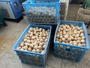 ของเล่นไม้เสริมพัฒนาการแบบสั่งทำพิเศษ พร้อมบริการสลักชื่อแบรนด์ ของขวัญสำหรับเด็กเพื่อความบันเทิง - Product Image 4
