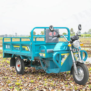 Tricycle Électrique Motorisé WF1500DZH pour Adulte 70 KM Moto à <span class=keywords><strong>Trois</strong></span> Roues en Stock - Product Image 4