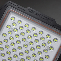 Lumières solaires du crépuscule extérieur Led Ip68 très bon automatique Abs de marque Nss projecteur
