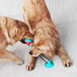 Mainan anjing tugas berat untuk pengunyah agresif penganalisis Tug mainan tali perang untuk membersihkan gigi dan latihan - Product Image 2