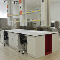 Mobilier scolaire personnalisé d'usine Tables de laboratoire Table de banc de laboratoire en résine époxy Table de laboratoire de biologie et de chimie