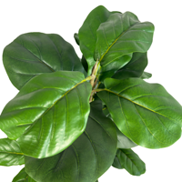 Plante artificielle de figuier à feuilles de violon de 120 cm, plante artificielle en plastique, verdure artificielle pour la décoration intérieure de la maison et du bureau