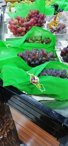 Housses de protection intégrées industrielles-agricoles en polypropylène non tissé 100 % respirant et lourd pour fruits, anti-insectes - Product Image 5