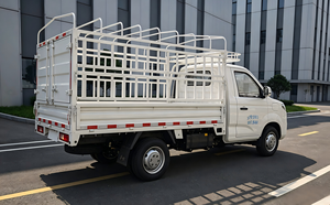 รถบรรทุกไฟฟ้า Ruichi C5 EV Fence Truck พวงมาลัยซ้าย บรรทุก 1.5 ตัน ระยะทางวิ่ง 320 กม. รถตู้ขนส่งไฟฟ้าสำหรับการจัดส่งในเมือง - Product Image 4
