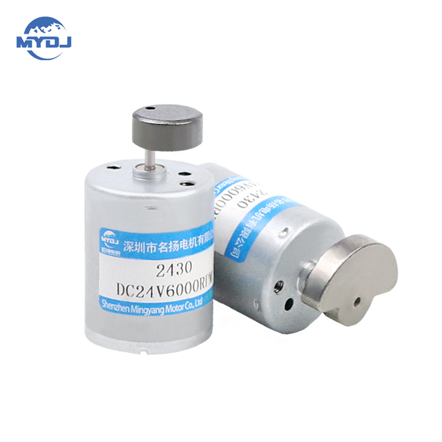 High-Torque Adjustable 12V 24V Brushless DC Vibration Motor Planetary Gears (2430) Small High-Torque Adjustable Vibration Motor