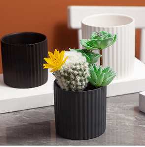 Conception personnalisée Vente en gros Mini pot de jardin pour plantes, Jardinière pour plantes succulentes avec plateau, Pots de fleurs Pot en céramique pour plantes - Product Image 5