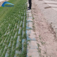 Sac géotextile en polyester durable, géotube pour la déshydratation des boues minières, la rétention des sédiments et la filtration