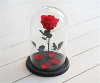 Dôme en verre avec base, écologique, durable, design moderne, utilisation en intérieur pour plantes, fleurs, cadeau pour appareil photo