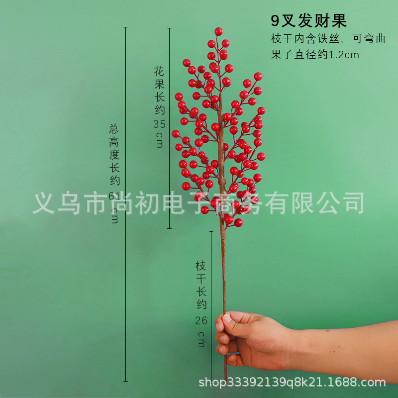 ผลไม้แห่งโชคลาภ 9 แฉก