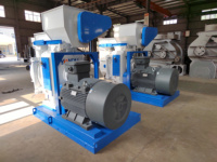 Ligne de production de granulés de biomasse Yongli 2TON/H WN à moteur, haute productivité, pour déchets agricoles, paille, balles de riz, son de blé