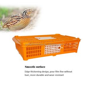 Jaula de Transporte de Plástico YYC para Aves de Corral, Jaula para <span class=keywords><strong>Pollitos</strong></span>, Jaula para Codornices, Jaula de Transporte para <span class=keywords><strong>Pollitos</strong></span> de Paloma - Product Image 4