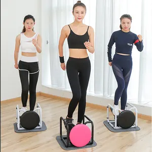 Multifunctionele Cardio Twist Thuisgebruik Fitnessmachine Losse Gewicht Mini Oefen Stepper Fitness