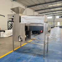 Automatische tomatenzaadverwijderingsmachine van roestvrij staal, automatische rode bayberry-fruitzaadverwijderaar, fruitpulpermachine
