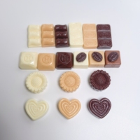 100 Pezzi/Lotto Miniature Colorate in Resina di Cioccolato, Caramelle e Dessert per Case di Bambole, Decorazioni per Telefoni e Scrapbooking