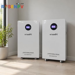 Grid Outage <b>Backup</b> 51.2V 314AH Household Energy Storage <b>Battery</b> - Product Image 1