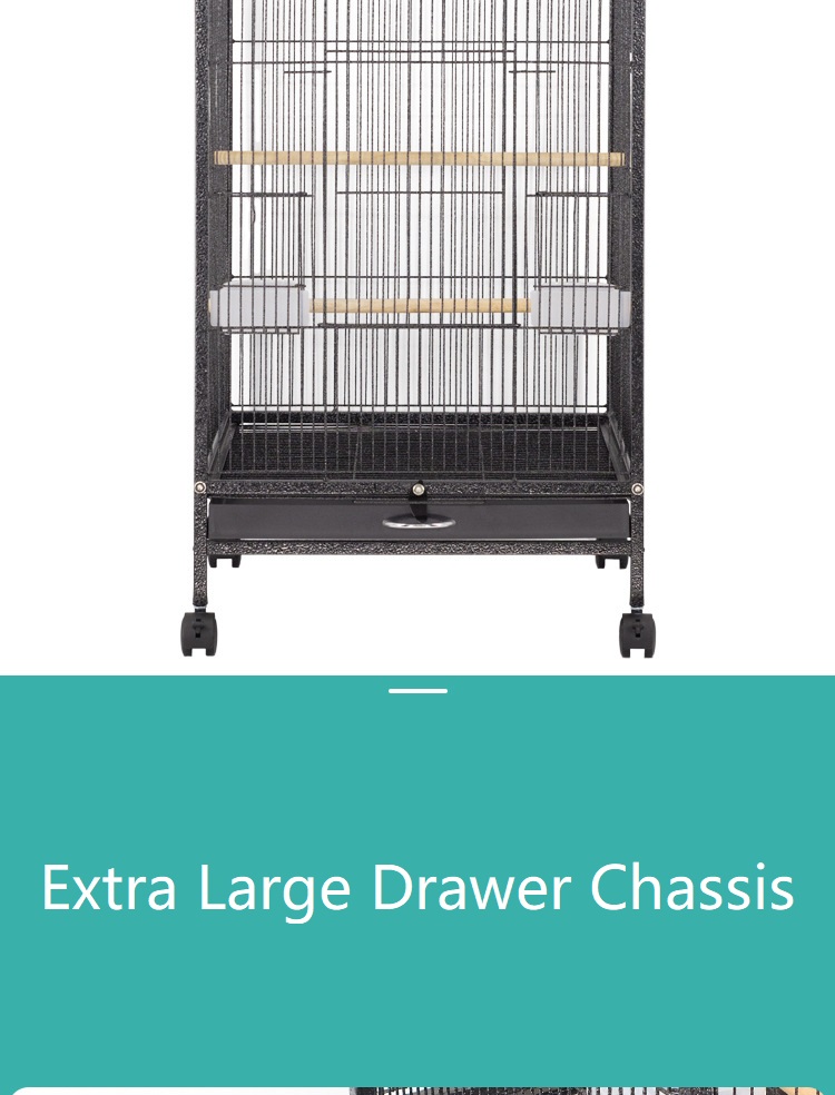 budgie flight raised