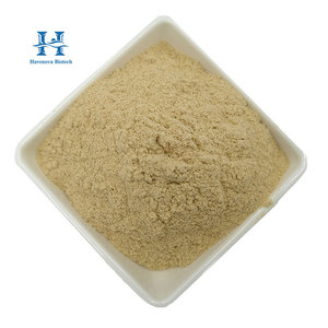 Bột Notoginsenosid chất lượng cao, Saponin lá Panax <span class=keywords><strong>Notoginseng</strong></span> 10% 20% 80%, Saponin rễ Panax <span class=keywords><strong>Notoginseng</strong></span> - Product Image 1