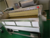 Industriële Borstel Type Wortel Cassave Wortel Verse Gember Aardappel Wasmachine Dunschiller Machine Wassen Peeling Machine