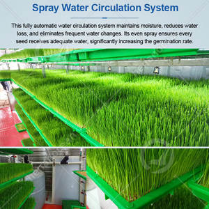 Máquina de Cultivo Hidropónico OCEAN para Germinación de Frijoles, Forraje Verde y Cebada - Product Image 4